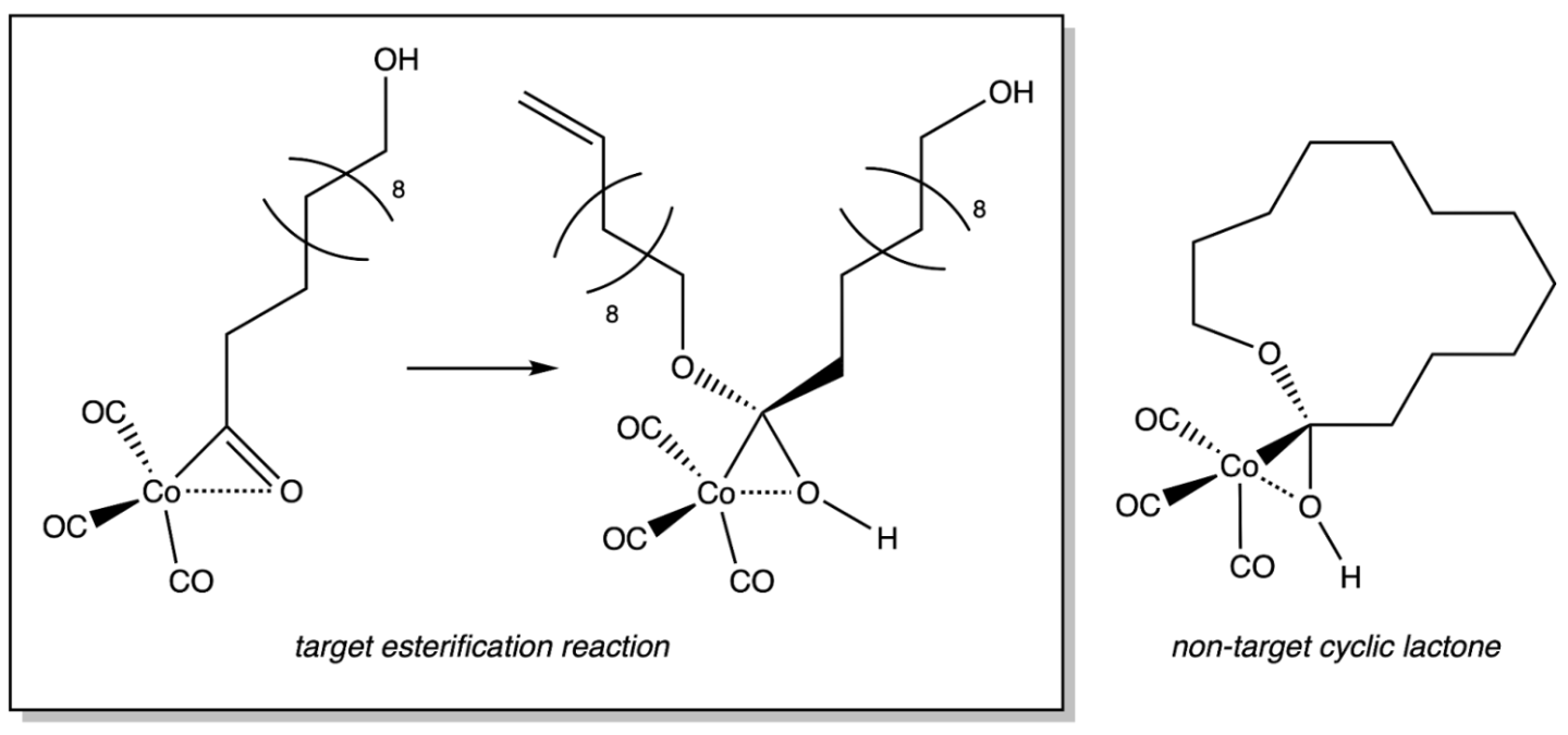 Carbonylative Polymerization of Undecenol